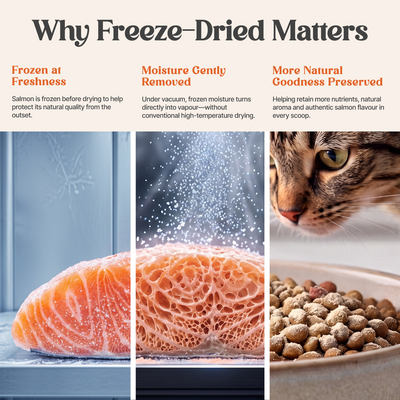 100% Freeze Dried Salmon Powder