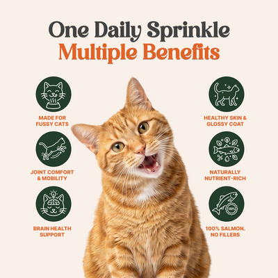 100% Freeze Dried Salmon Powder