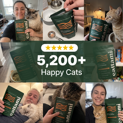 100% Freeze Dried Salmon Powder