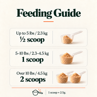 100% Freeze Dried Salmon Powder