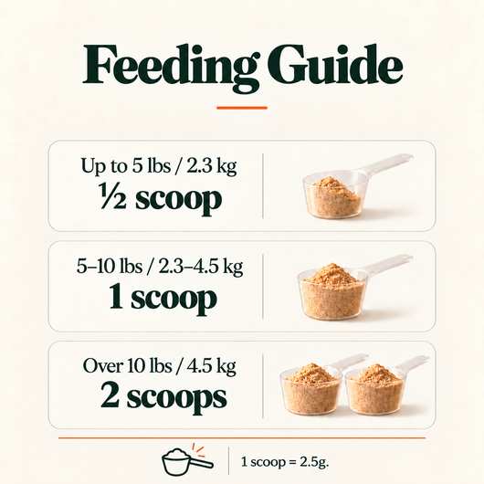 100% Freeze Dried Salmon Powder