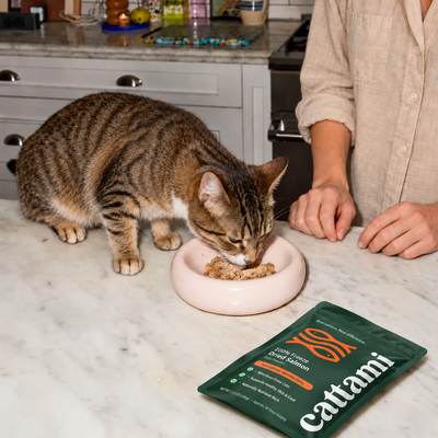 100% Freeze Dried Salmon Powder